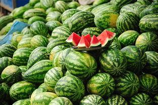 吃瓜网站 a圈惊天大瓜,揭秘娱乐圈不为人知的秘密风暴